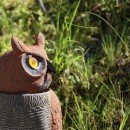 owl statue photoshop contest